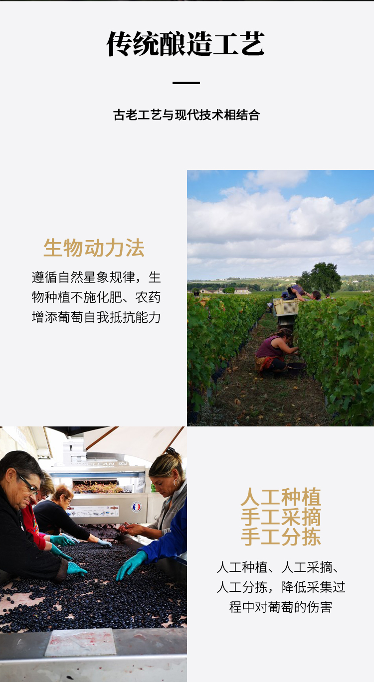 路易庄园2022珍藏干红葡萄酒
