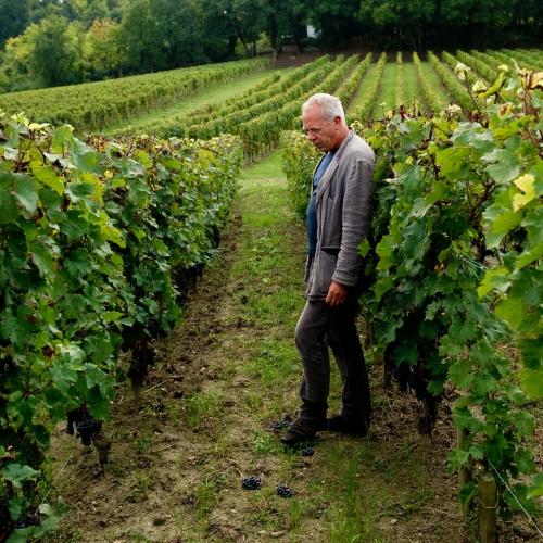 世界前三的酿酒大师，究竟为路易红酒带来了什么？