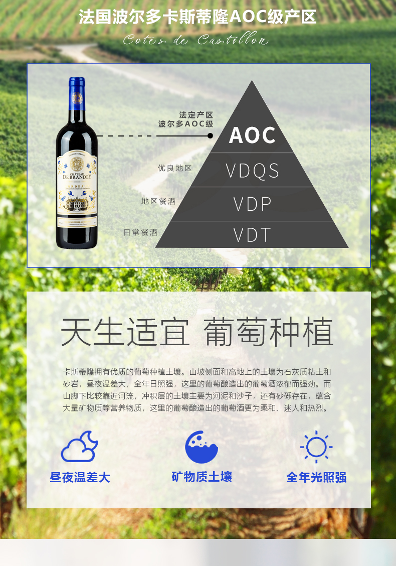宝兰迪庄园2023干红葡萄酒