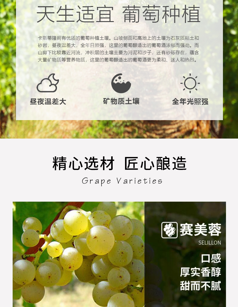 宝兰迪庄园2023干白葡萄酒
