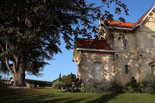 梅洛与品丽珠的“黄金搭档”：读懂路易红酒背后的混酿艺术