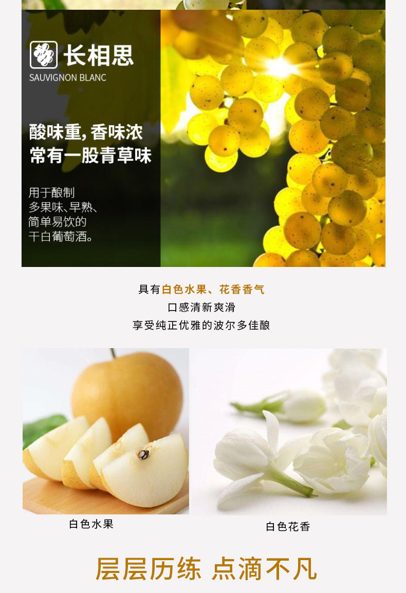 宝兰迪庄园2023干白葡萄酒